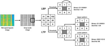 COVID-19 respiratory sound analysis and classification using audio textures